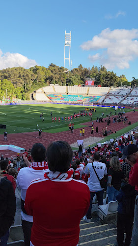 Opinii despre Centro Desportivo Nacional do Jamor în Oeiras - Outro