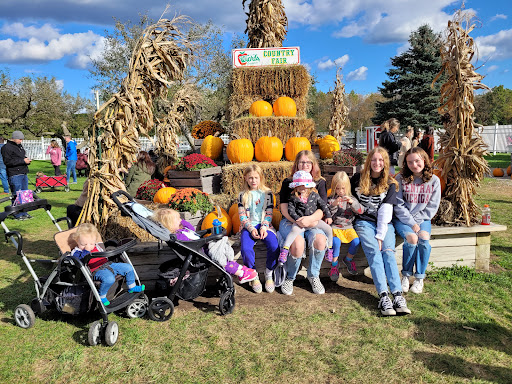 Wiard's Orchards - Visual