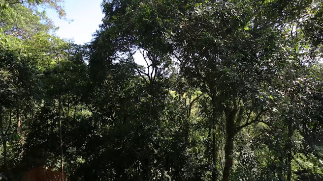 Bio Habitat Hotel, Aken Soul Collection. by null