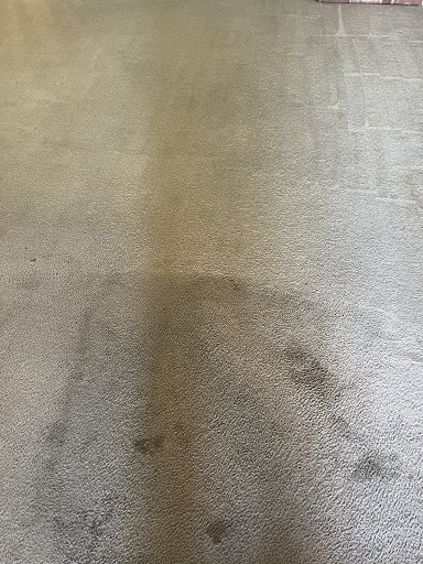 Friendly Carpet - Visual