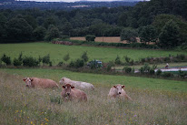 La Ferme d'Avril à Sainte-Gemmes-le-Robert