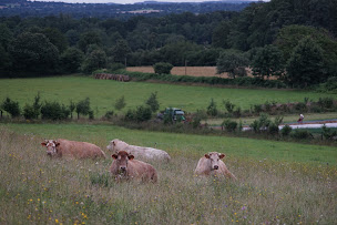 Photo n°1 de La Ferme d'Avril à Sainte-Gemmes-le-Robert (Ferme bio)