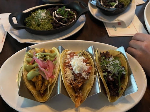 Wild Salsa - Visual
