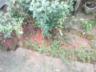 Photos of Palash Cinema Hall