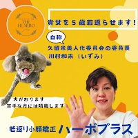 THE HEARBO plus（ハーボプラス）