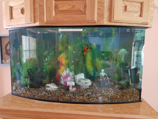 AquaKeepers - Visual