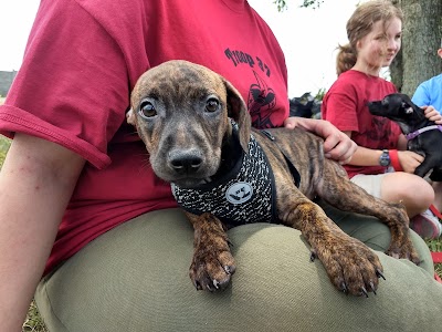 Berkeley County Humane Society