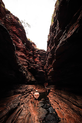 The Flying Sandgroper Gallery - Australia