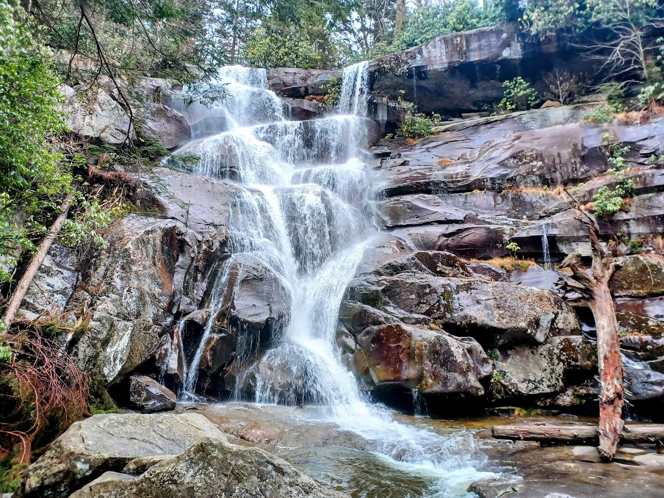 Photo of Ramsey Cascades