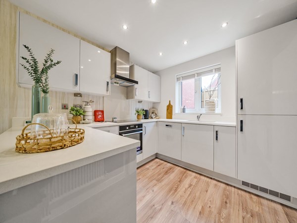 Persimmon Homes Swan Park photo 3