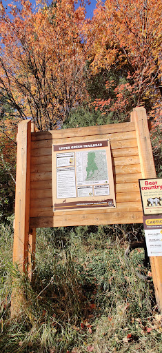 Cache National Forest Sign - Thumbnail