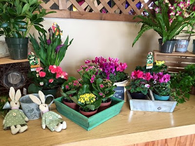 Photos of Anker Florist