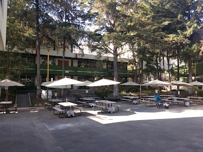 Photos of Economy faculty