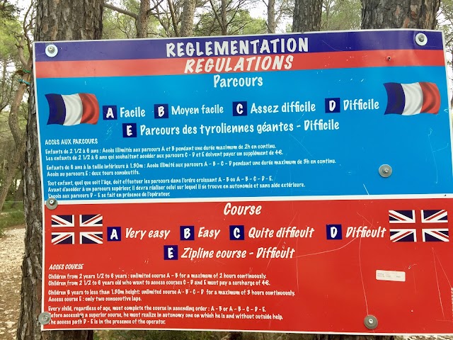 Le Royaume des Arbres