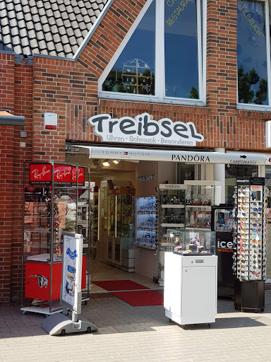 Treibsel - Thumbnail