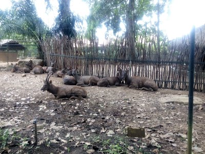 Photos of Pinnawala Zoo