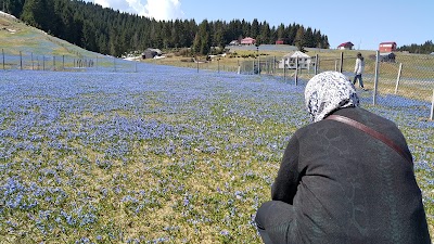 Photos of Kadıralak Plateau