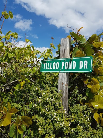 Photos of Tilloo Pond Retreat