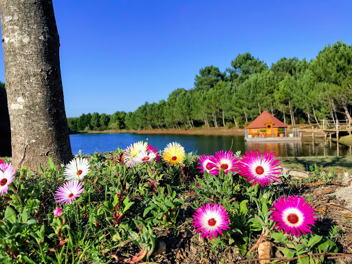 Domaine de Lann Hallat - France