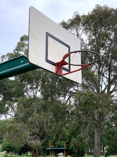 Aroona park basketball