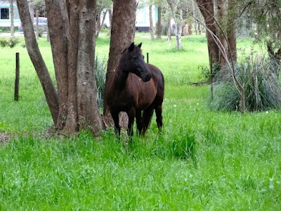 Photos of Estancia El Aduar