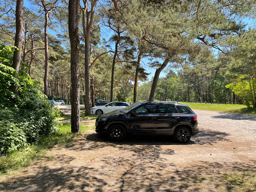 Schaabe Waldparkplatz 1 - Thumbnail