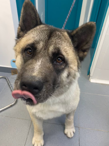 Clínica Veterinaria Villafranca