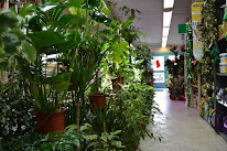 La Jardinerie de Pessicart à Nice