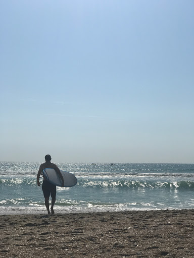 Surfchex - Thumbnail