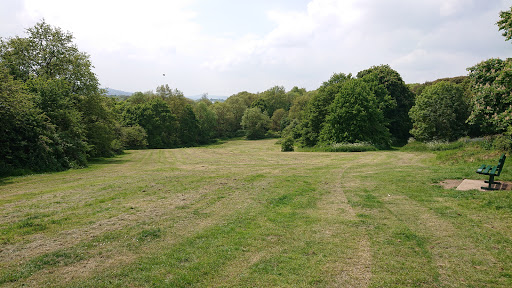 Hoo Common - Visual