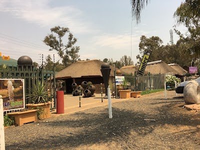 Photos of Water Plant