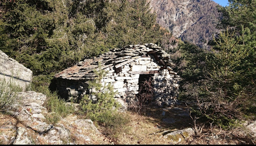 Casarisc - Visual
