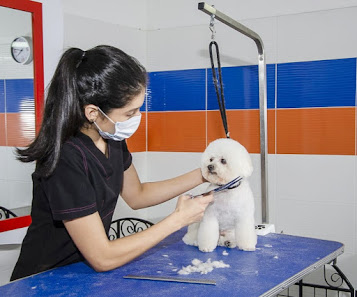 Fotografía de Centro Clínico Veterinario los Andes Del propietario