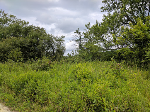 Lake Pleasant Conservation Area