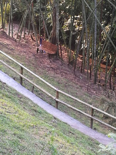 Photos of La Cosecha