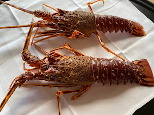 Photo n°137 de Restaurant Le Neptune à Collioure (Restaurant français)