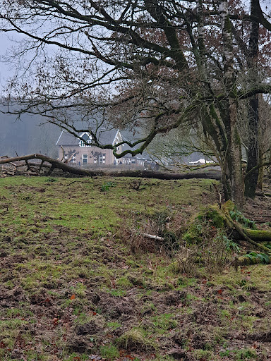 Brartsenshei (Onzalige bossen) - Thumbnail