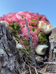 Photo n°18 de Crysal Fleurs & Kay décoration à Cavaillon (Magasin d'ameublement et de décoration)