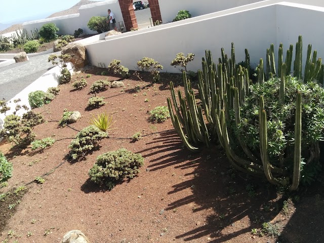 Viewpoint Betancuria