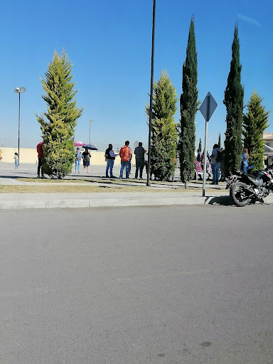 Real Siena - Thumbnail