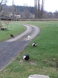 Photo n°10 de Moulin de Pras à Sigy-le-Châtel (Chambre d'hôtes)