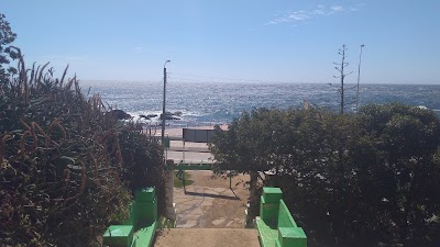 Photos of Plaza de Los Loros