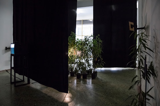 State of Concept Athens, Non Profit Art Institution by null