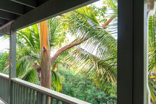 Robert Bob Samiljan Maui Gyrotonic Kihei - Thumbnail