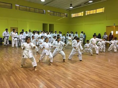 Photos of Karate Do Arica
