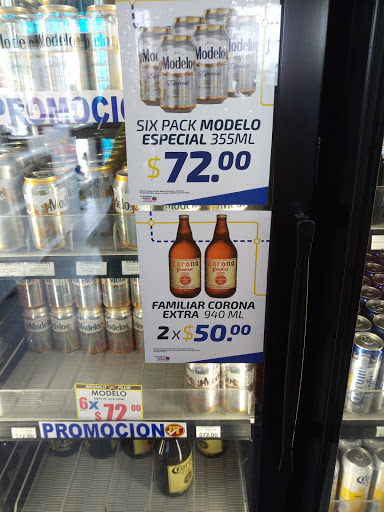 Modelo Plus 17 - Visual