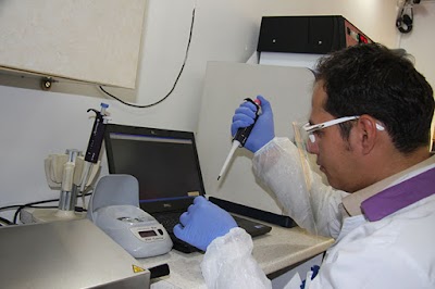 Photos of Dena Laboratory
