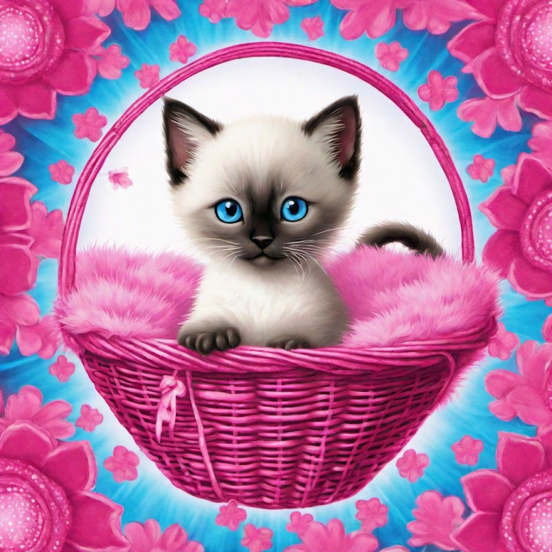 Cats Luv Us Google Business photo