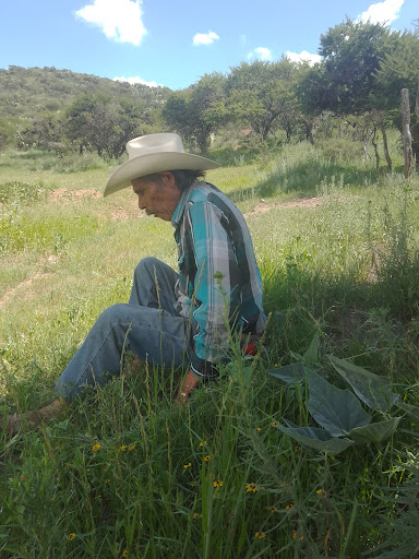 Presa Cantuna