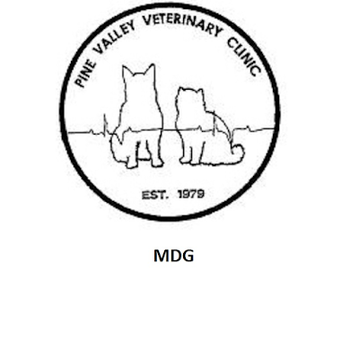 Photos of Pine Valley Veterinary Clinic